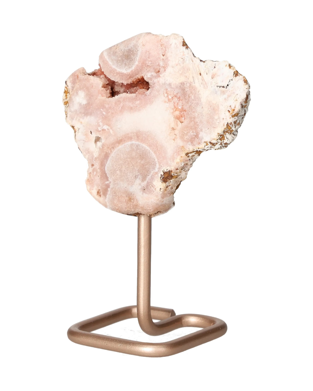 orbitvu|type:image2d