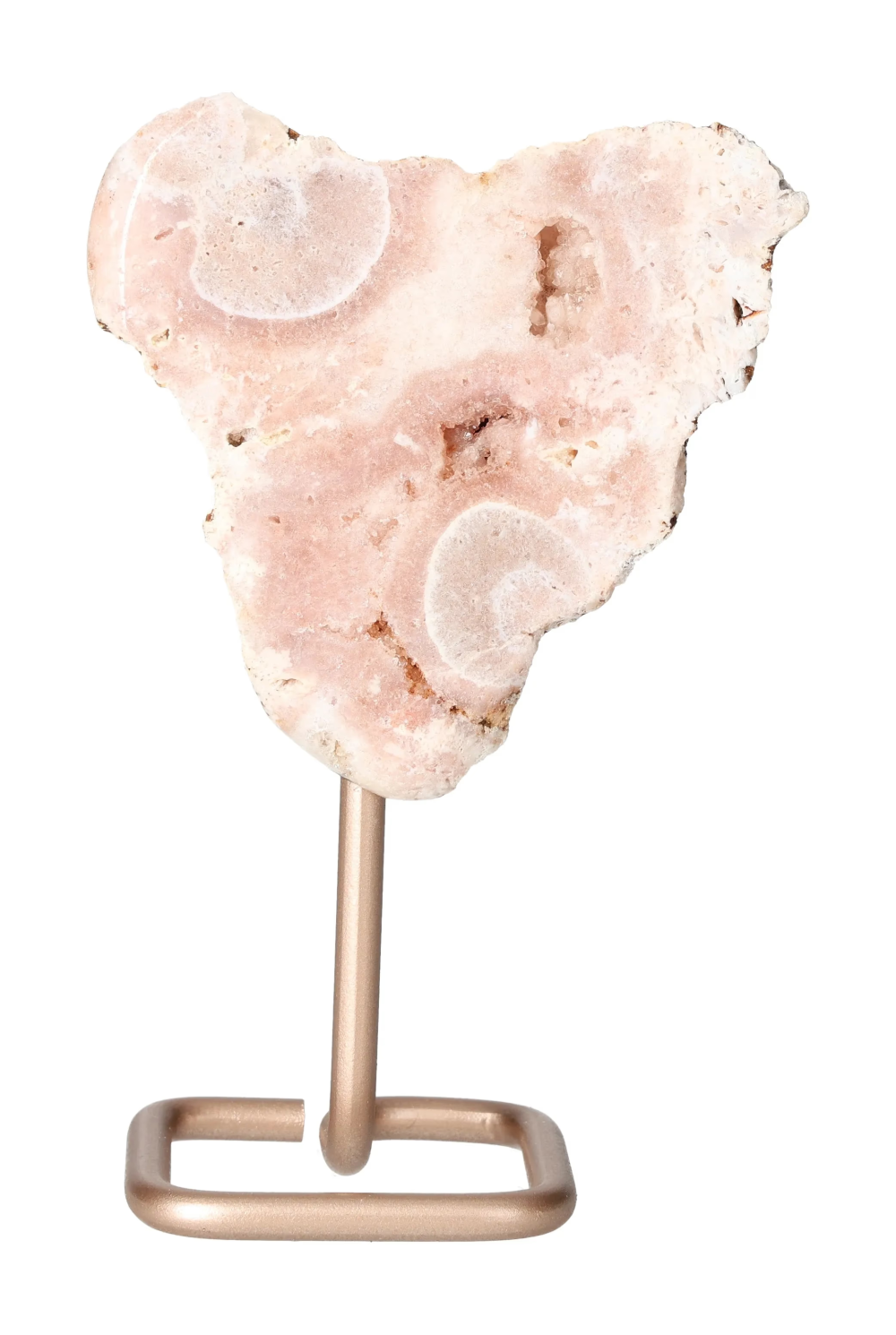 orbitvu|type:image2d