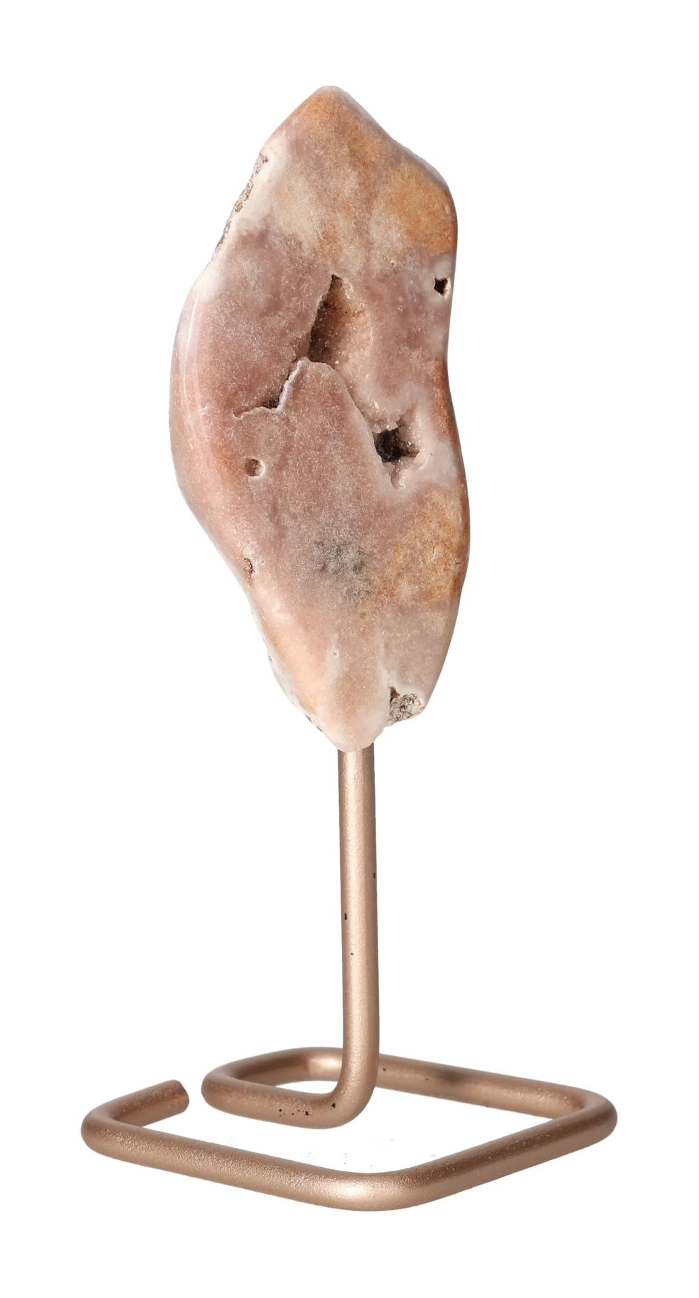 orbitvu|type:image2d