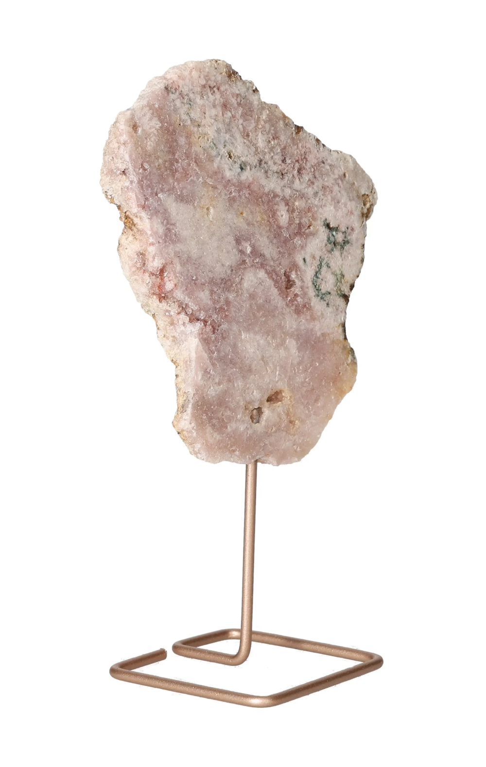 orbitvu|type:image2d