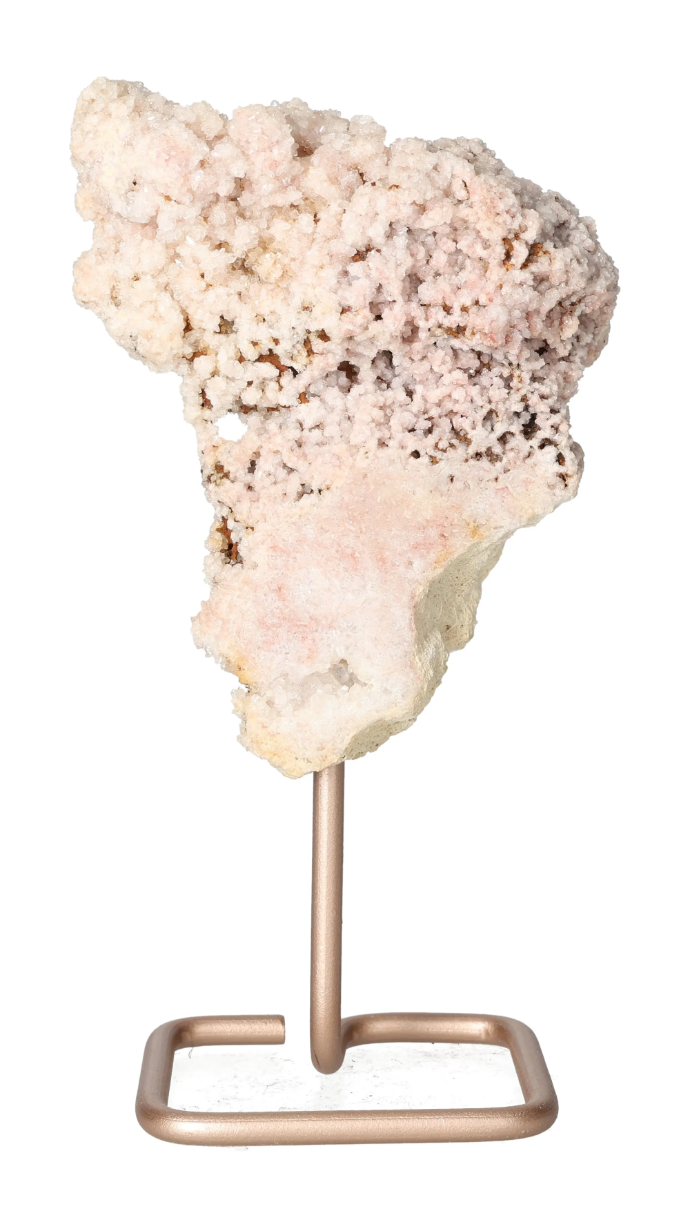 orbitvu|type:image2d