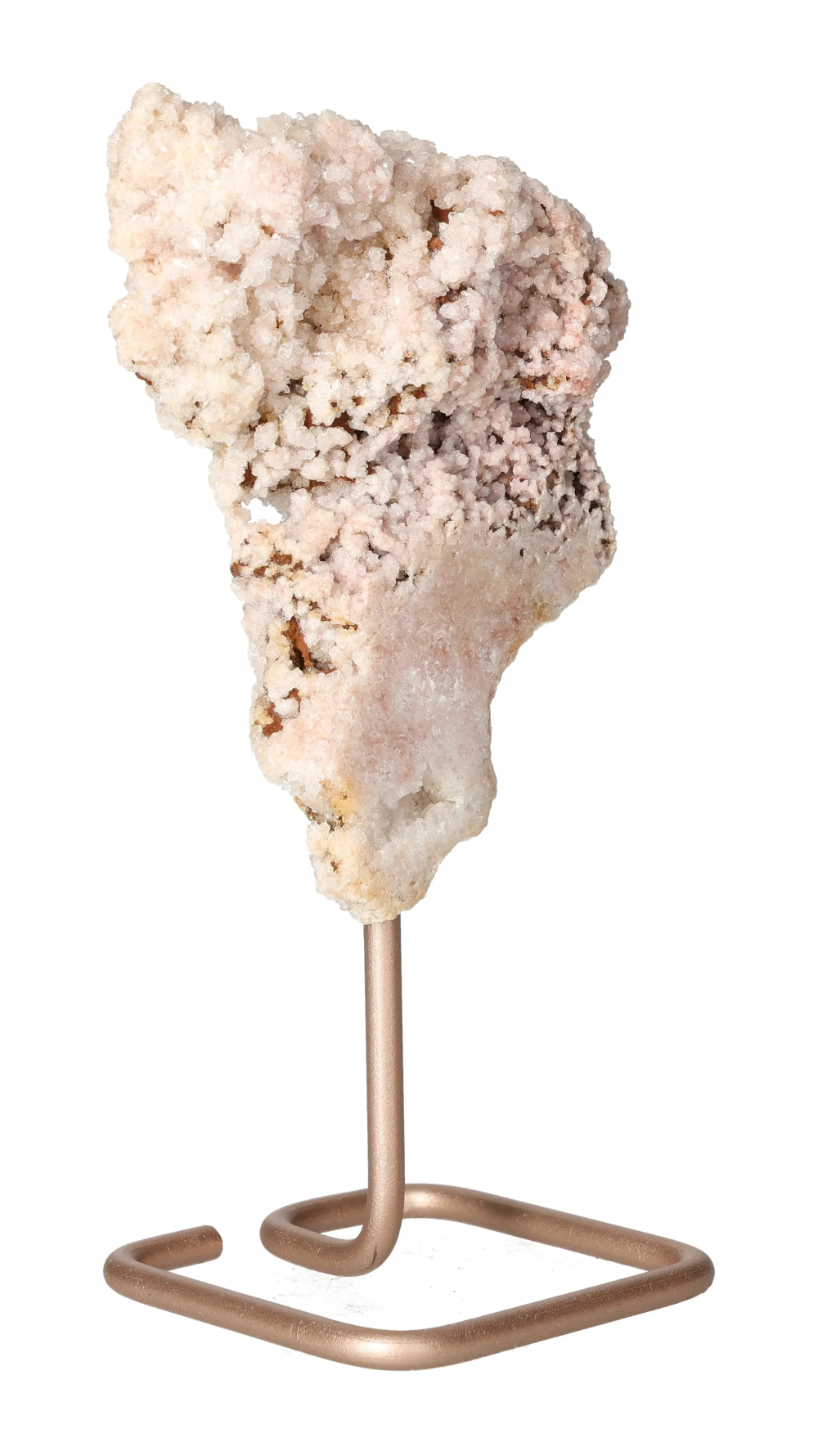 orbitvu|type:image2d