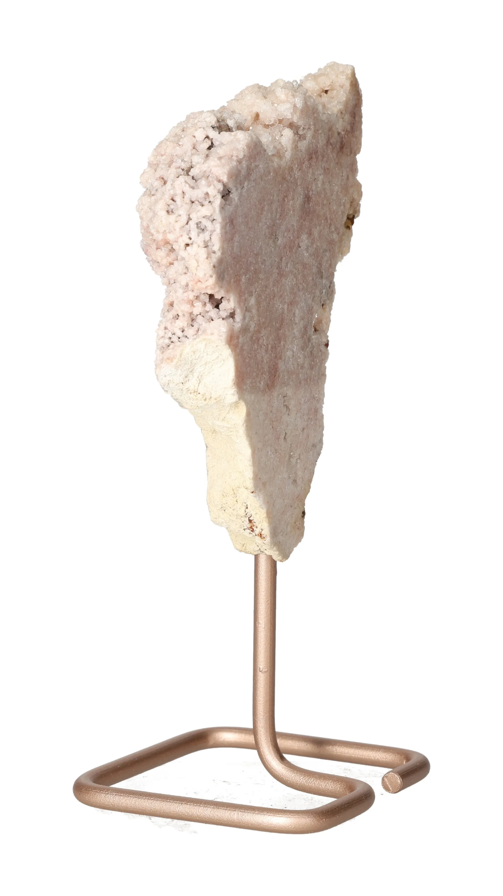 orbitvu|type:image2d