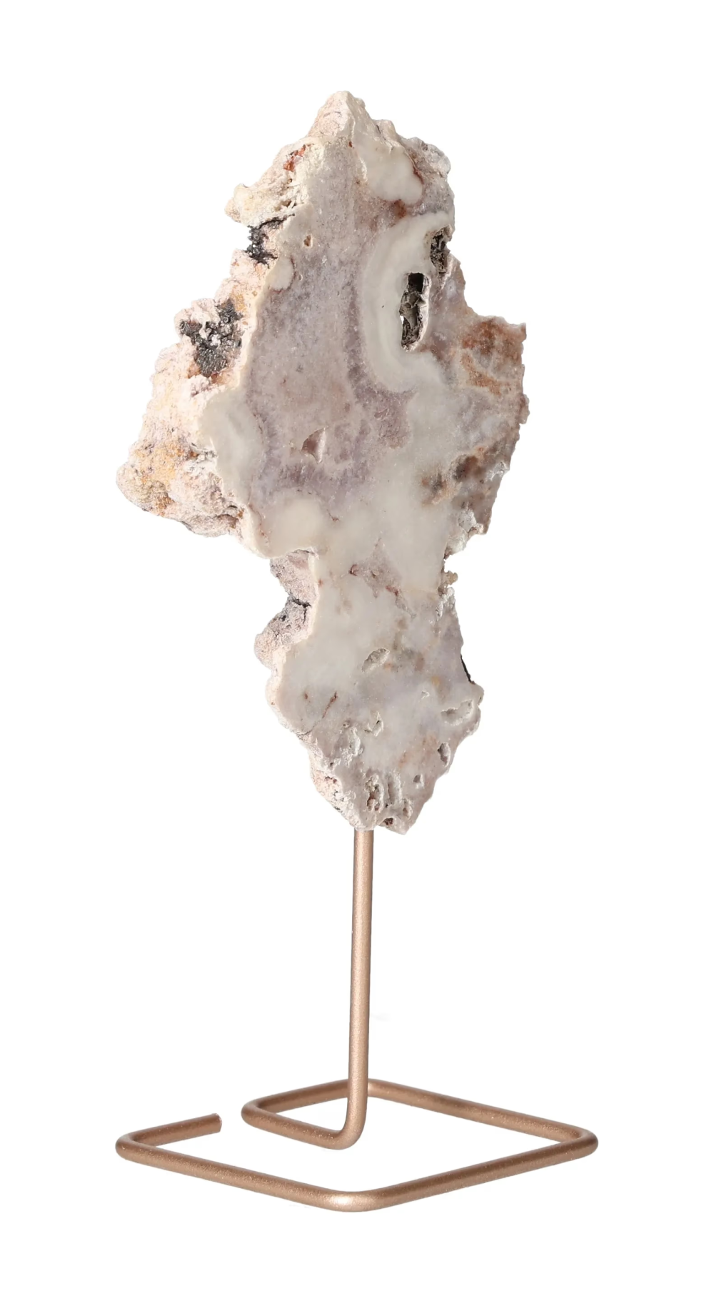 orbitvu|type:image2d