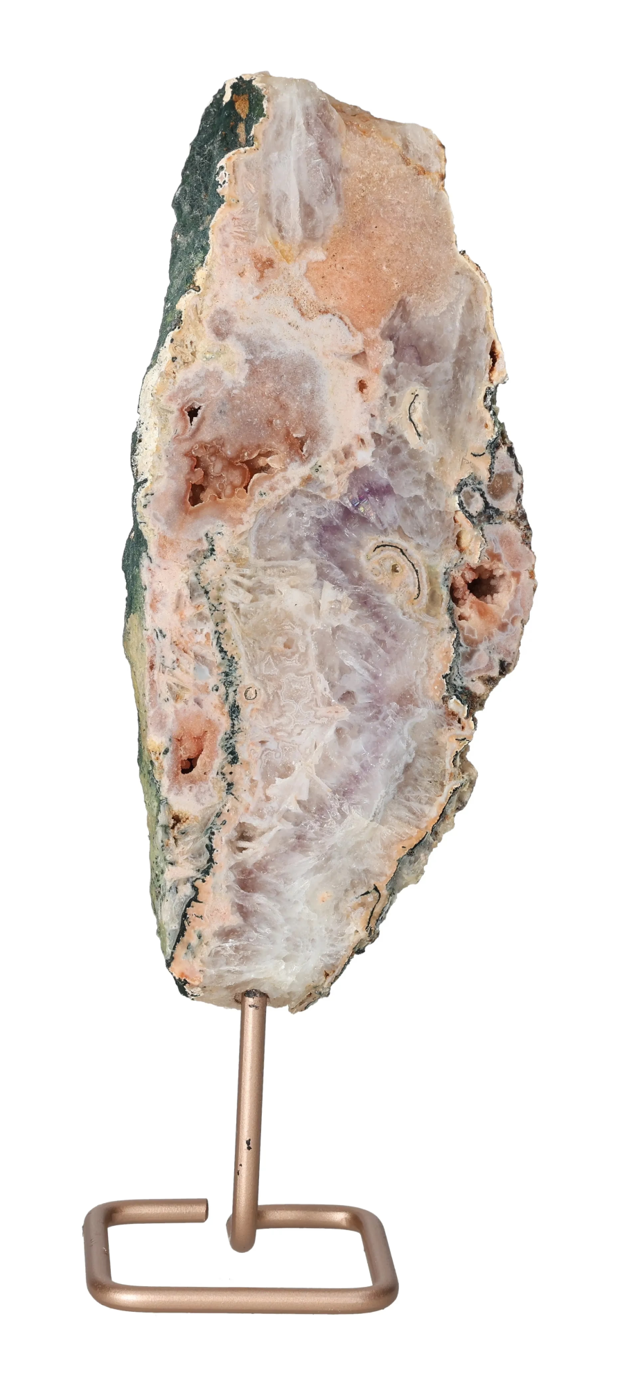 orbitvu|type:image2d