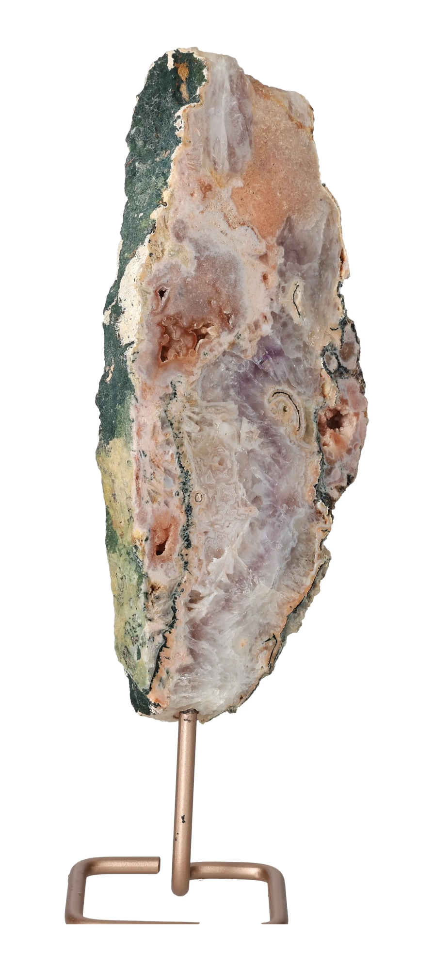 orbitvu|type:image2d