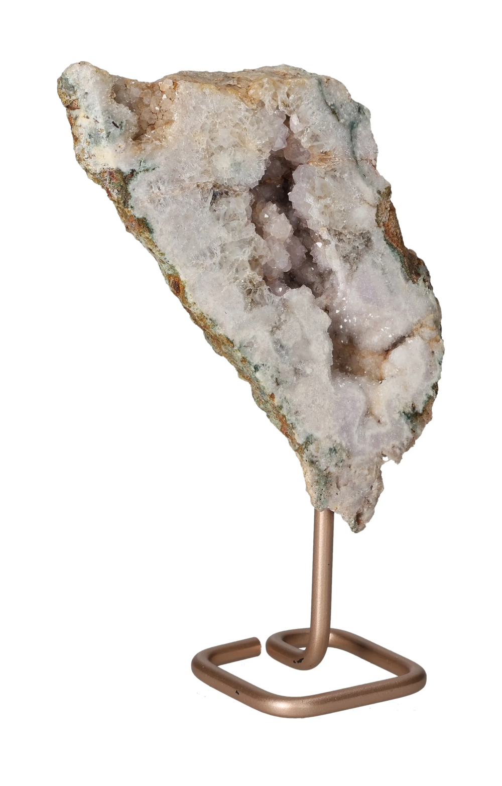 orbitvu|type:image2d