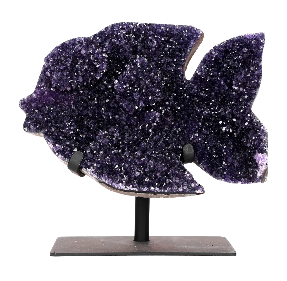 orbitvu|type:image2d