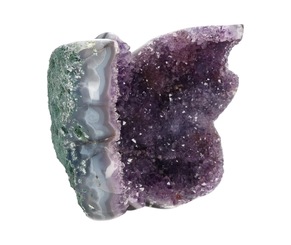 orbitvu|type:image2d