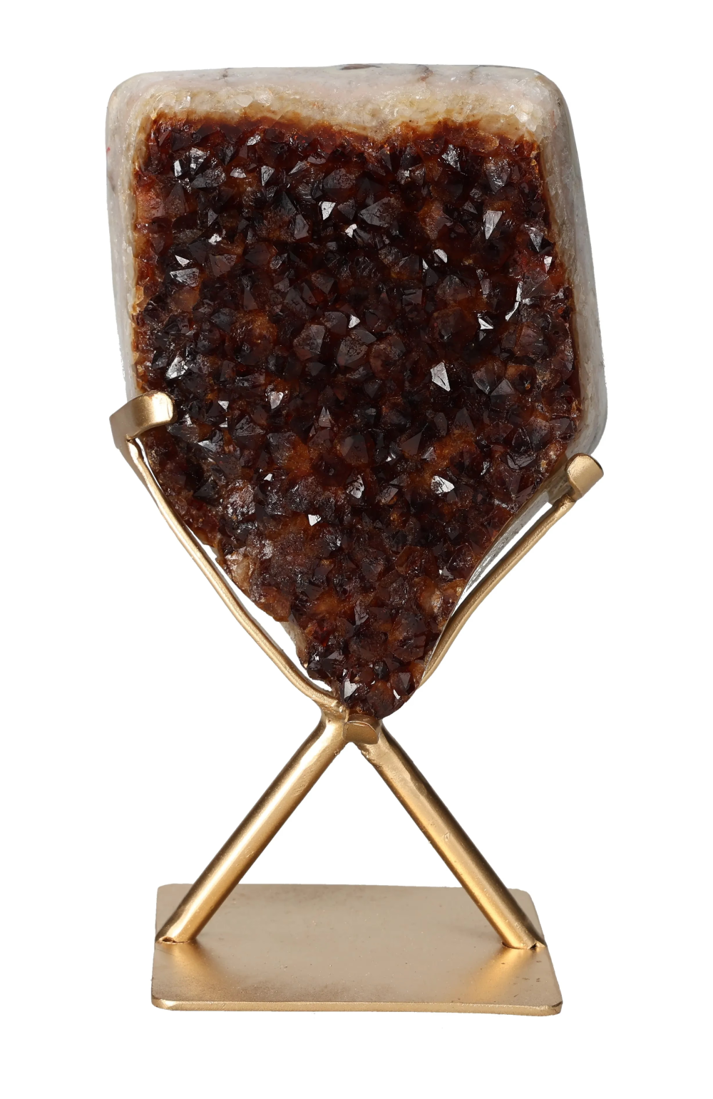 orbitvu|type:image2d