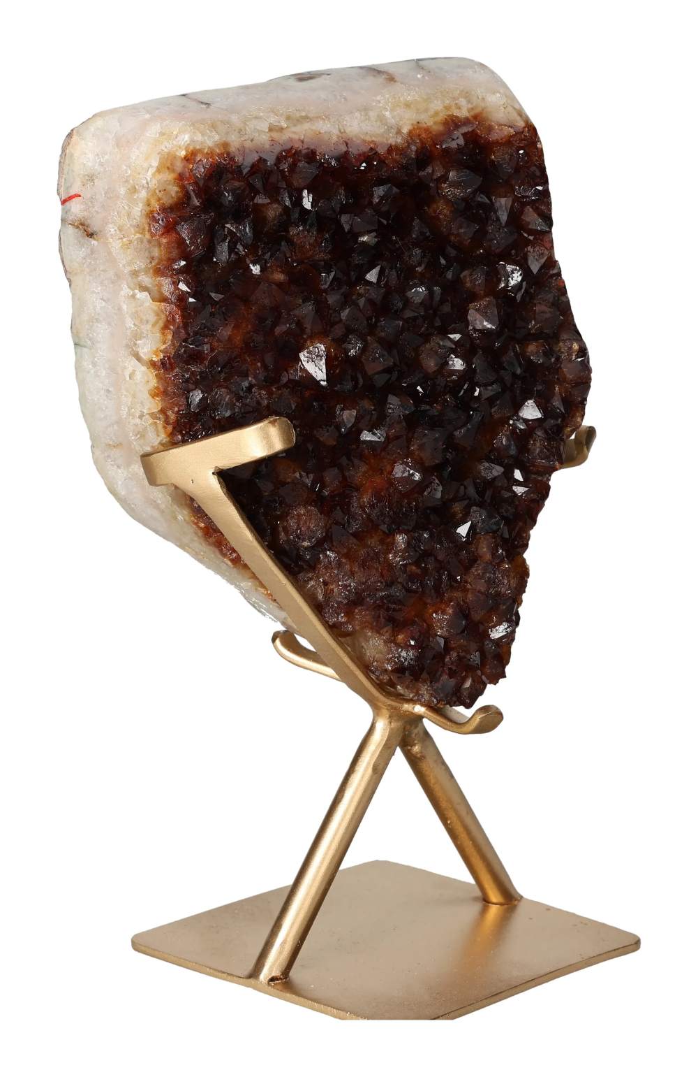 orbitvu|type:image2d