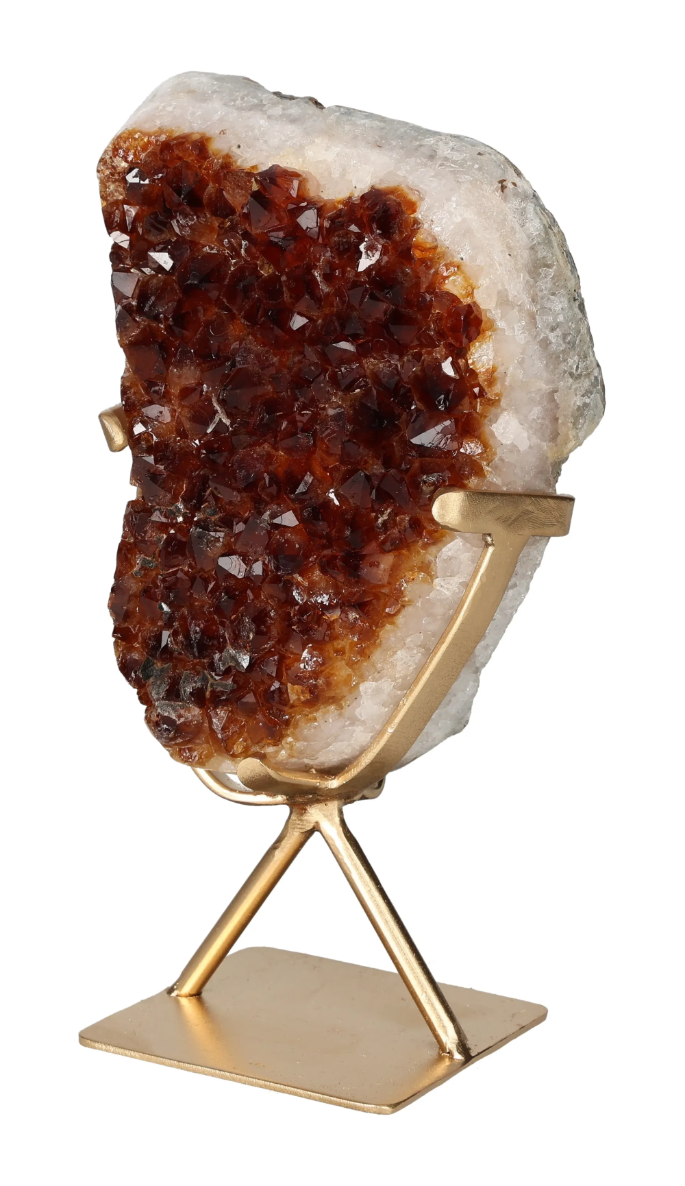 orbitvu|type:image2d