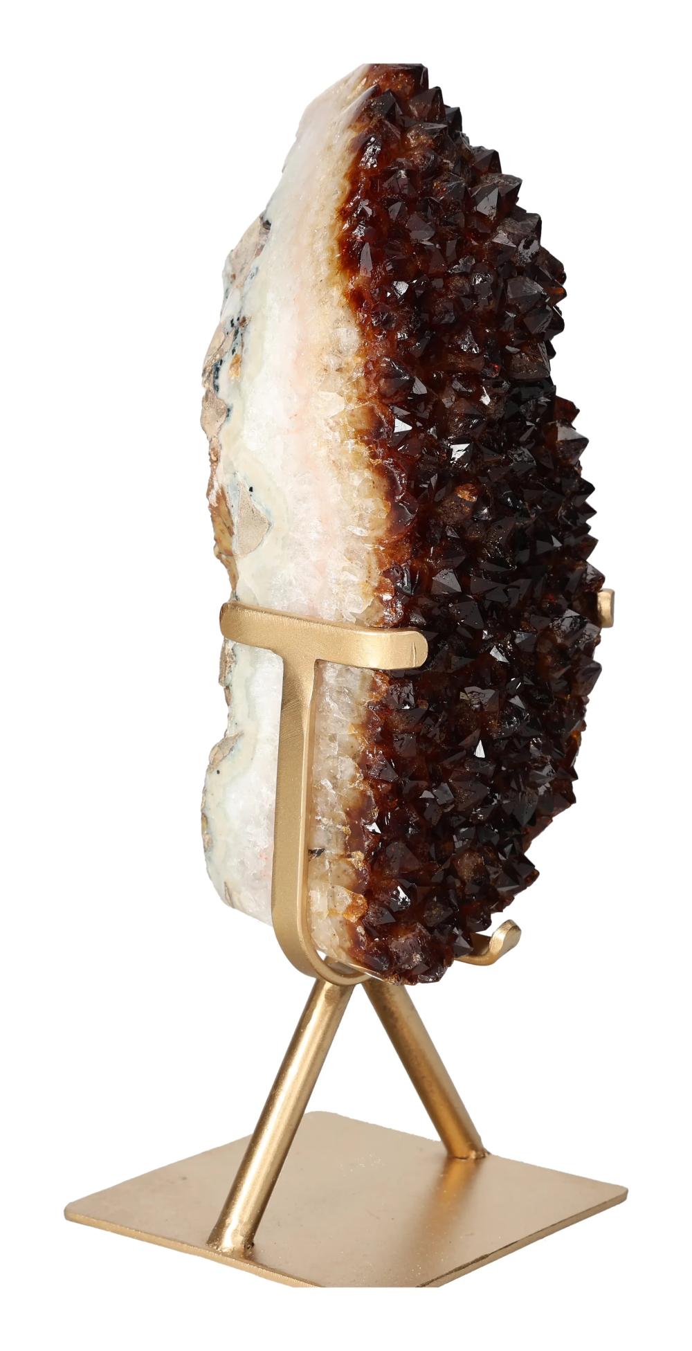 orbitvu|type:image2d