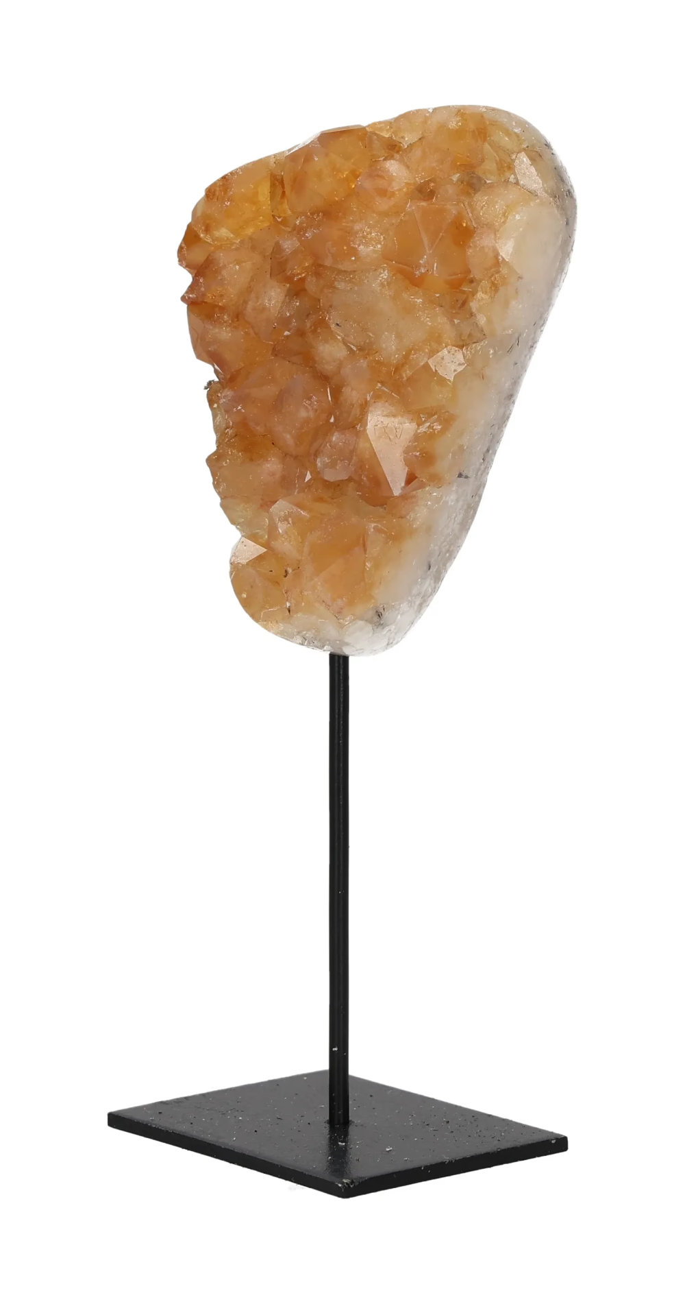 orbitvu|type:image2d