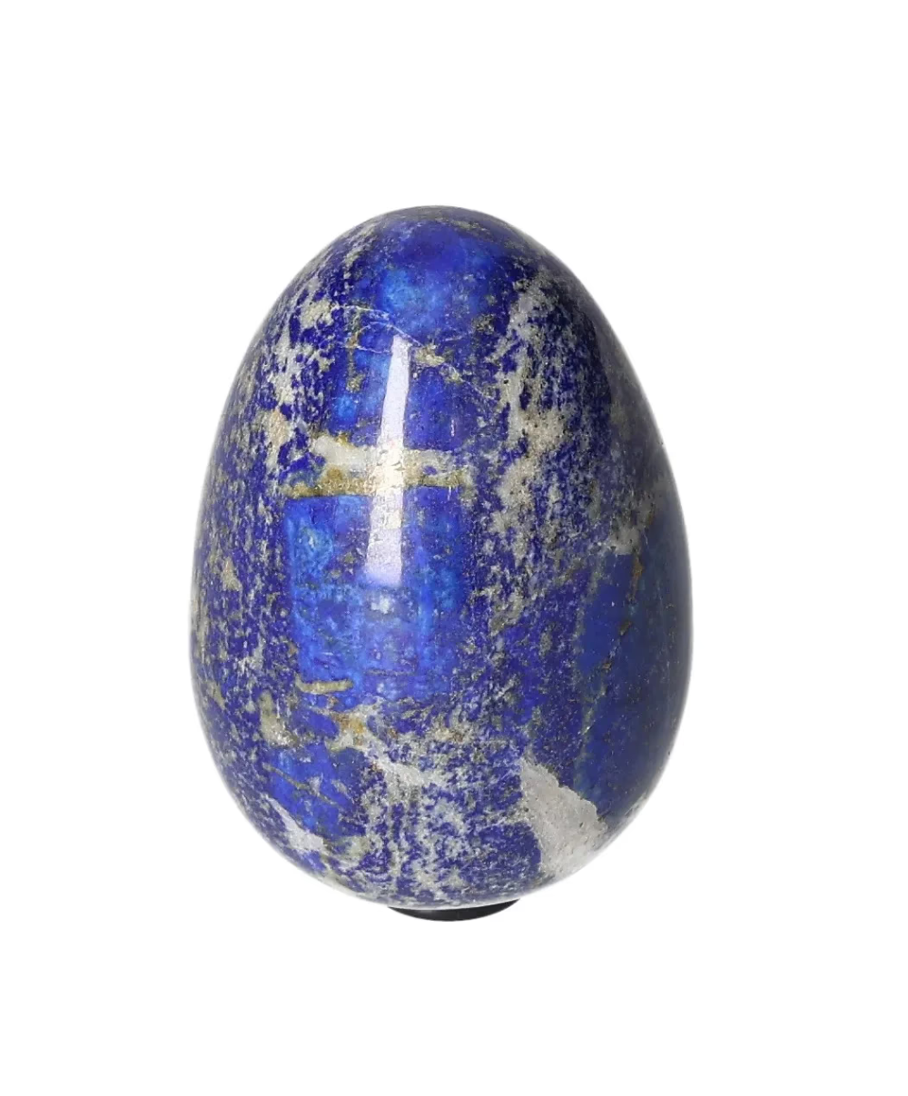 orbitvu|type:image2d