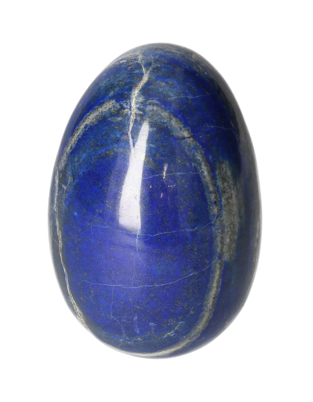 orbitvu|type:image2d