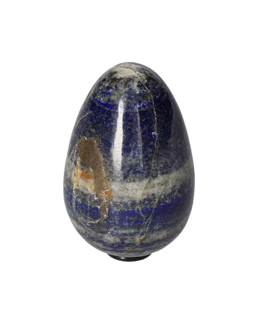 orbitvu|type:image2d