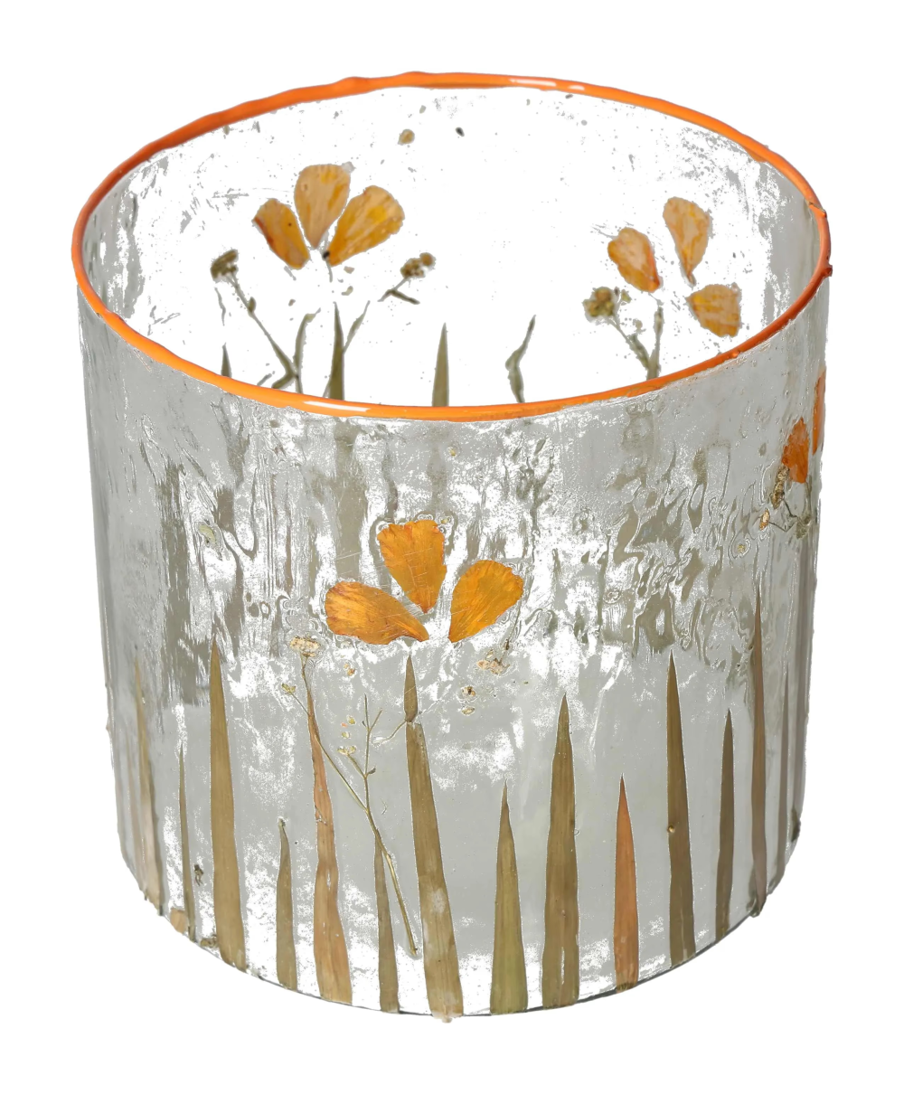 orbitvu|type:image2d