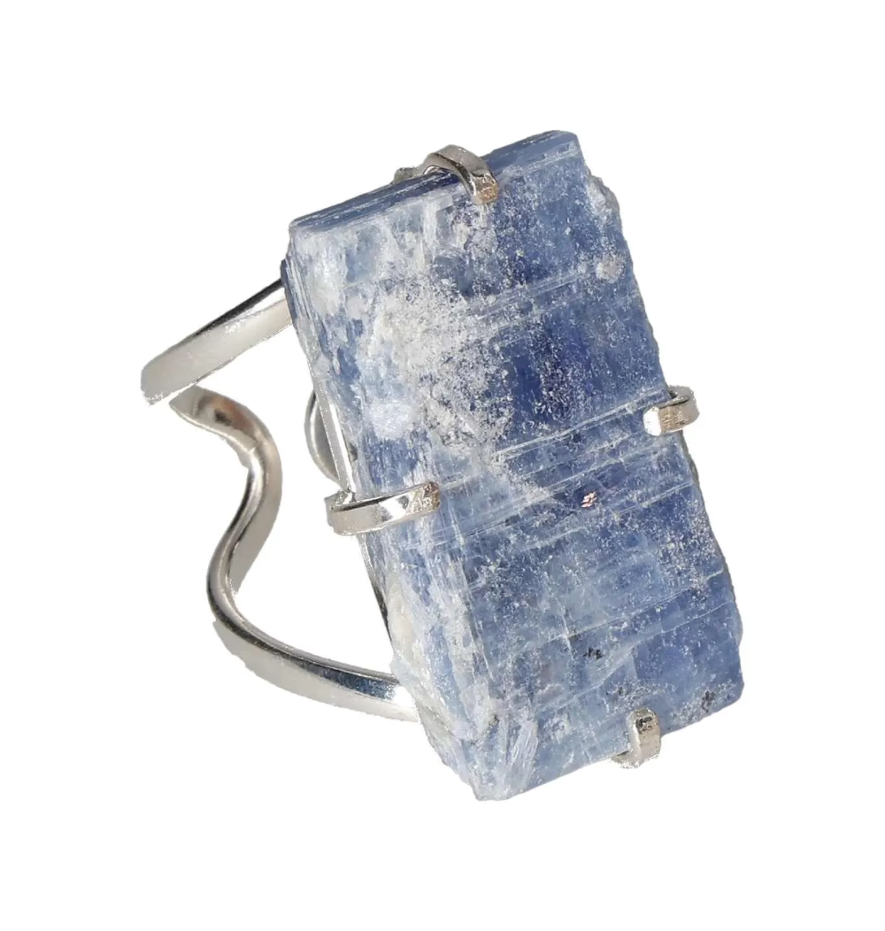 orbitvu|type:image2d