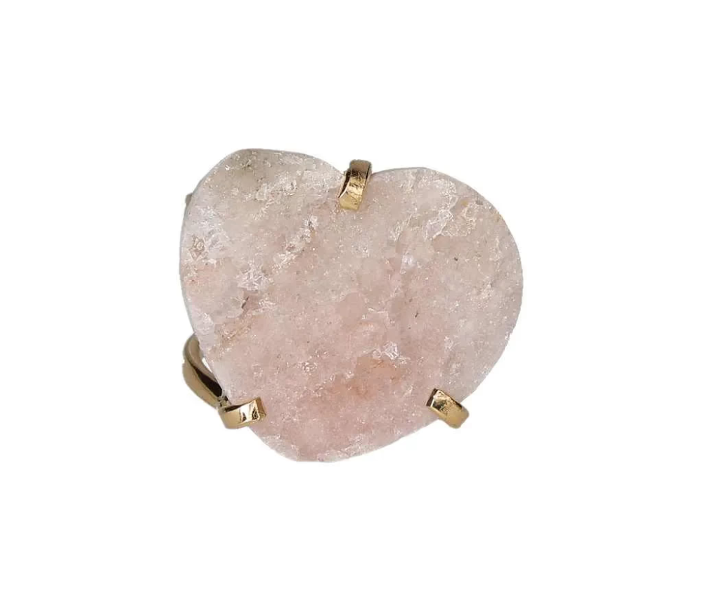 orbitvu|type:image2d