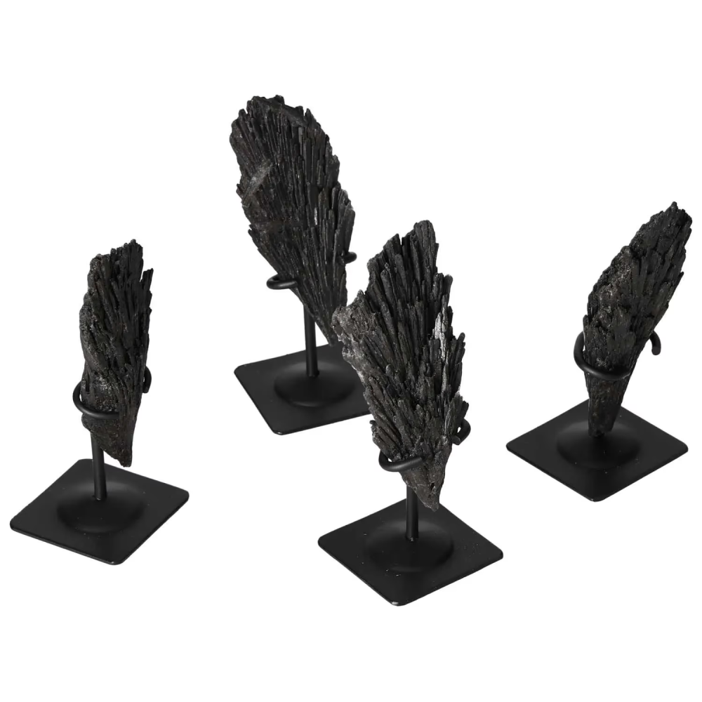 orbitvu|type:image2d