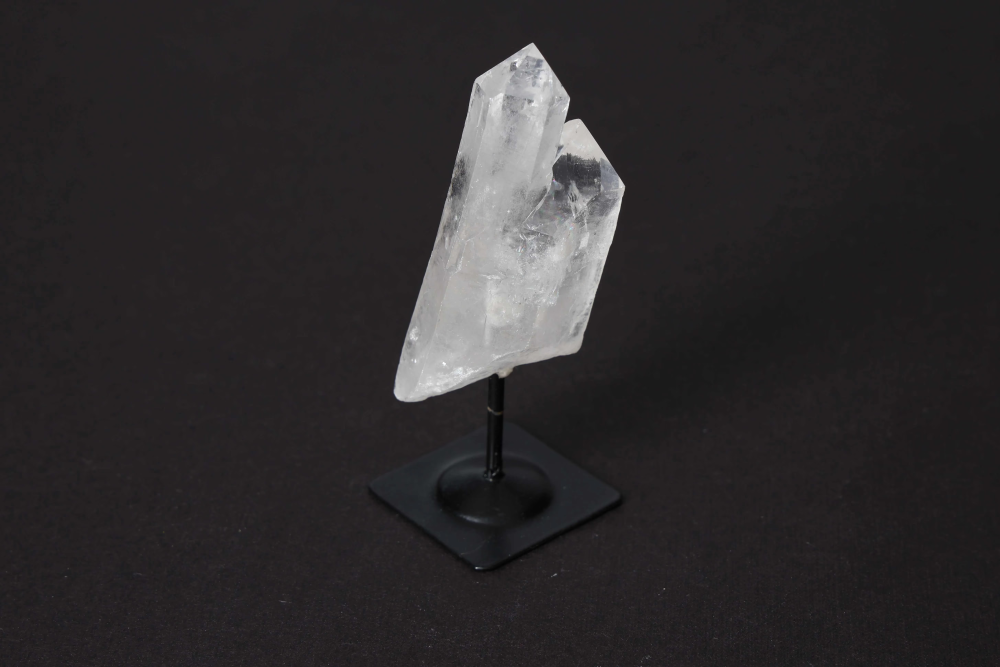 orbitvu|type:image2d