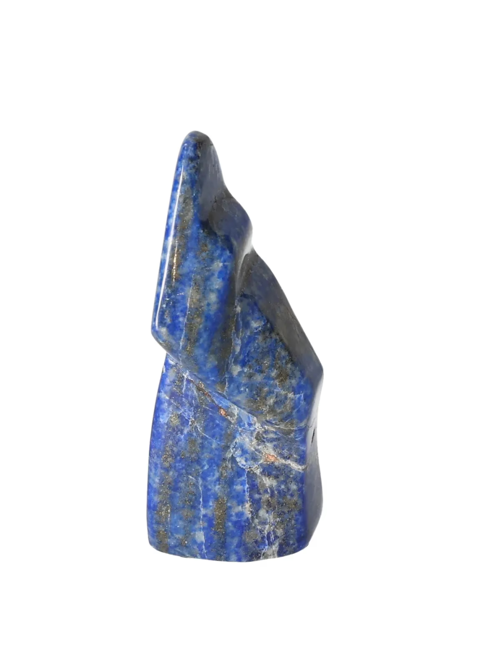 orbitvu|type:image2d