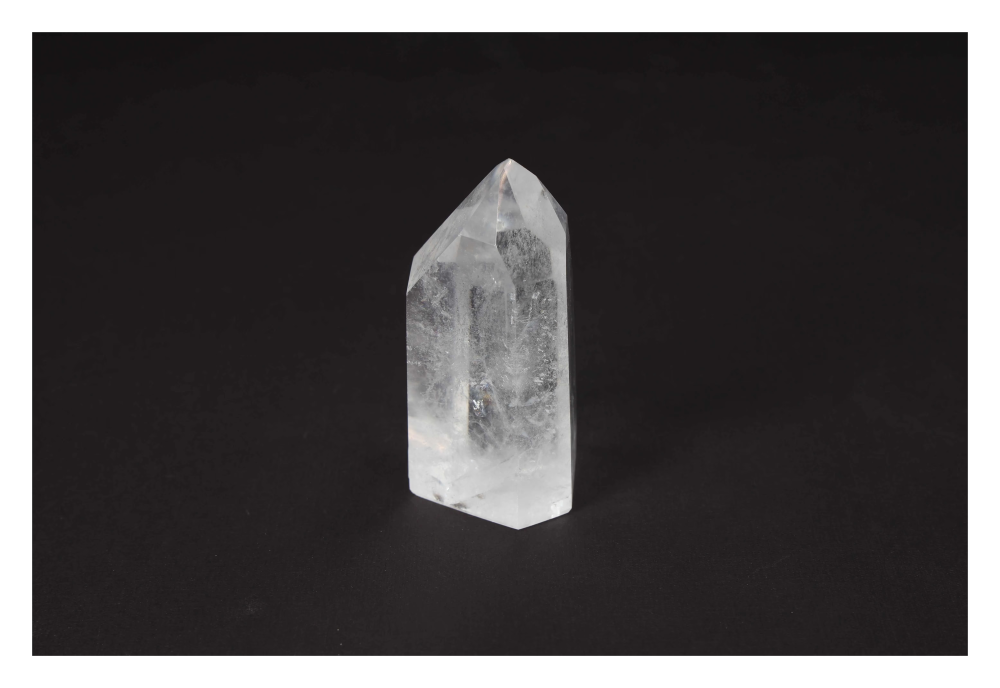 orbitvu|type:image2d