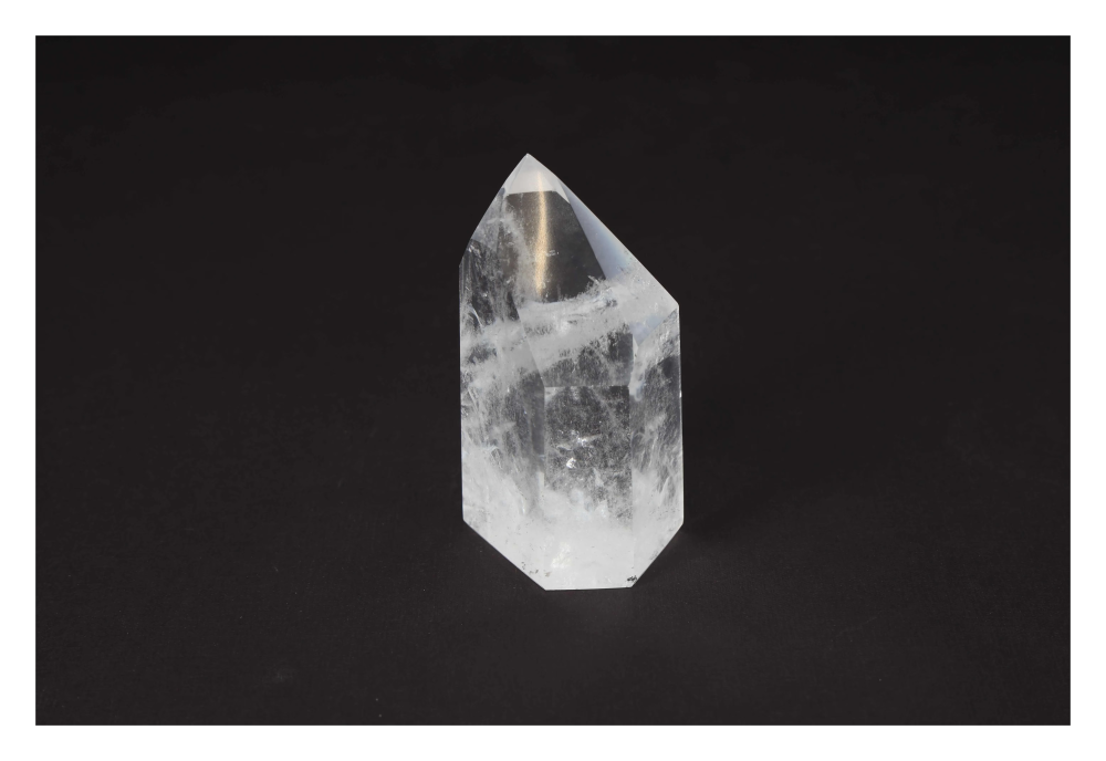 orbitvu|type:image2d