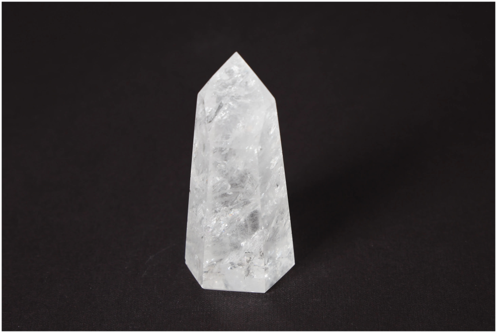 orbitvu|type:image2d