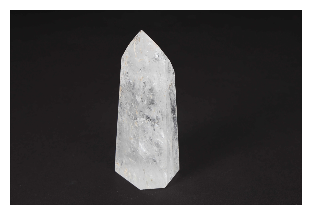 orbitvu|type:image2d