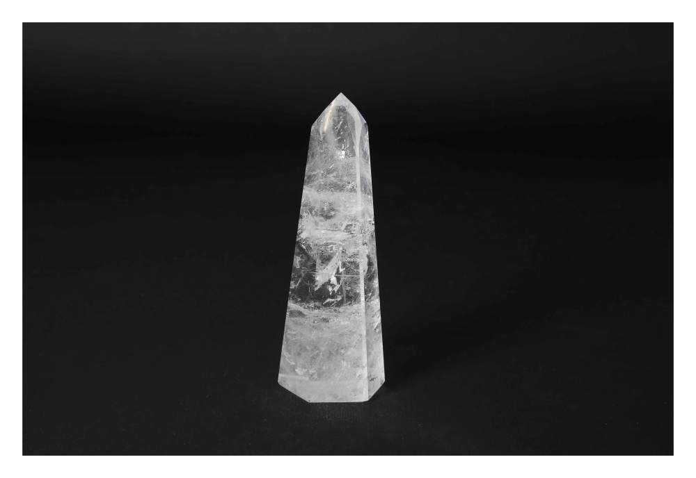 orbitvu|type:image2d