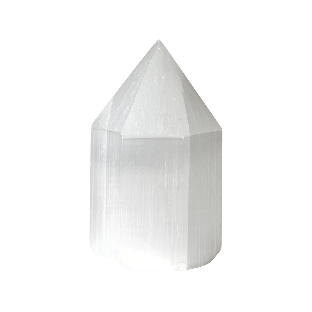 orbitvu|type:image2d