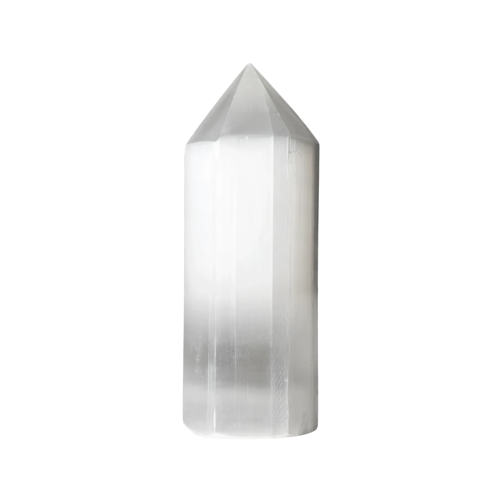 orbitvu|type:image2d