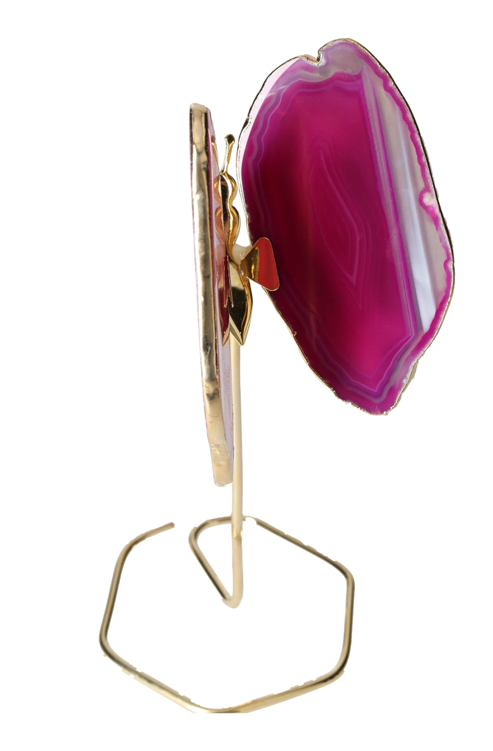 orbitvu|type:image2d