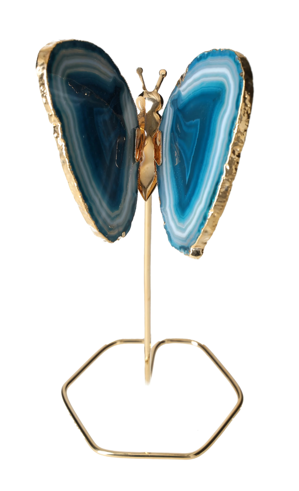 orbitvu|type:image2d