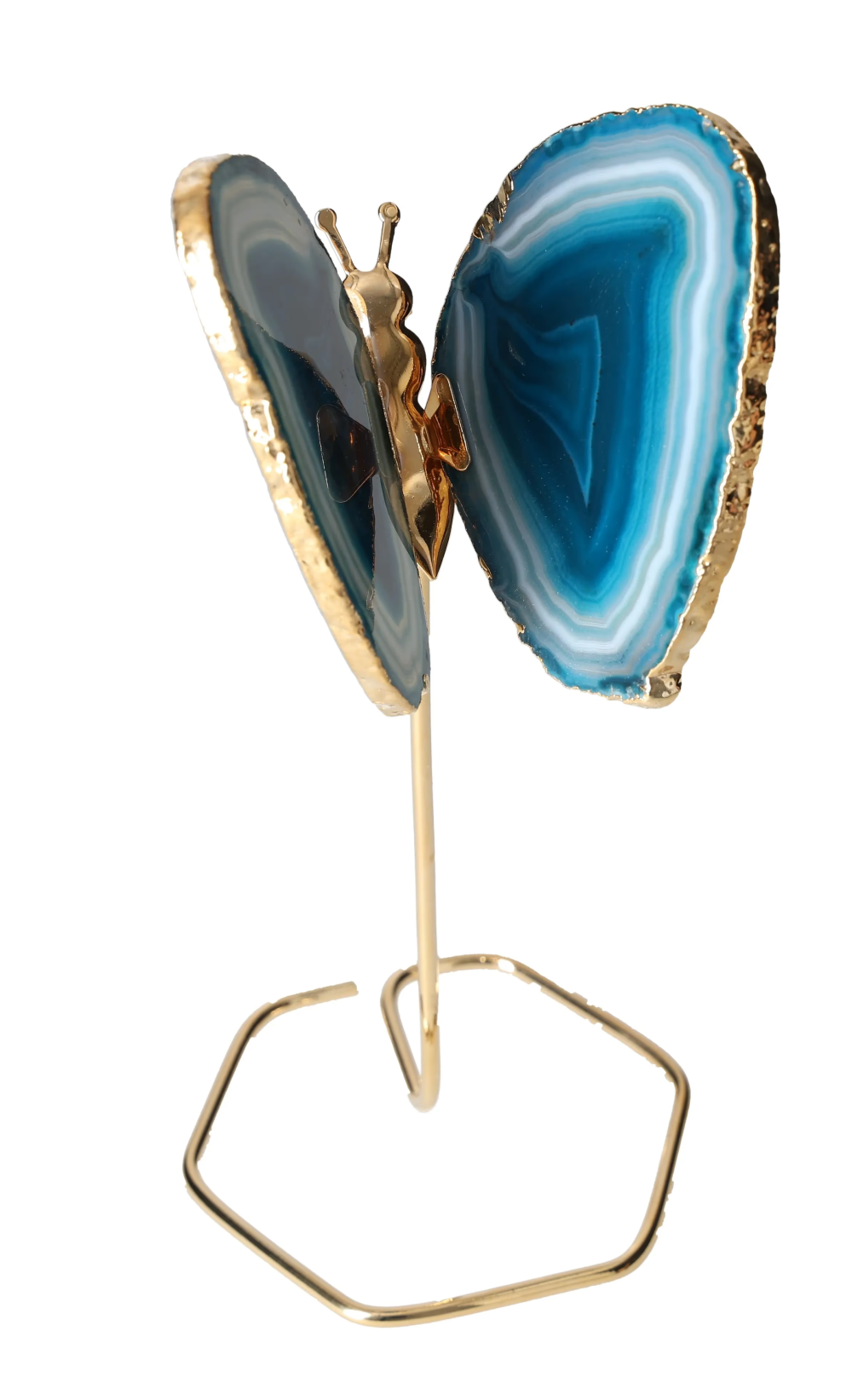 orbitvu|type:image2d