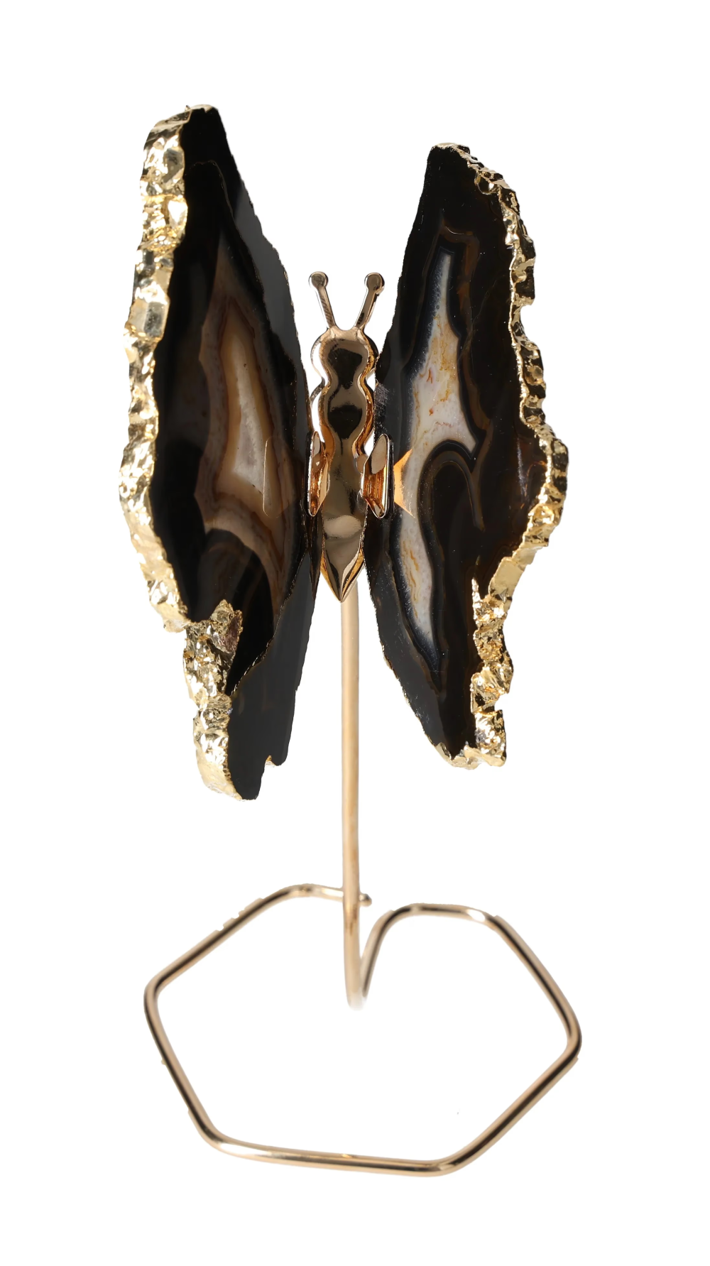 orbitvu|type:image2d