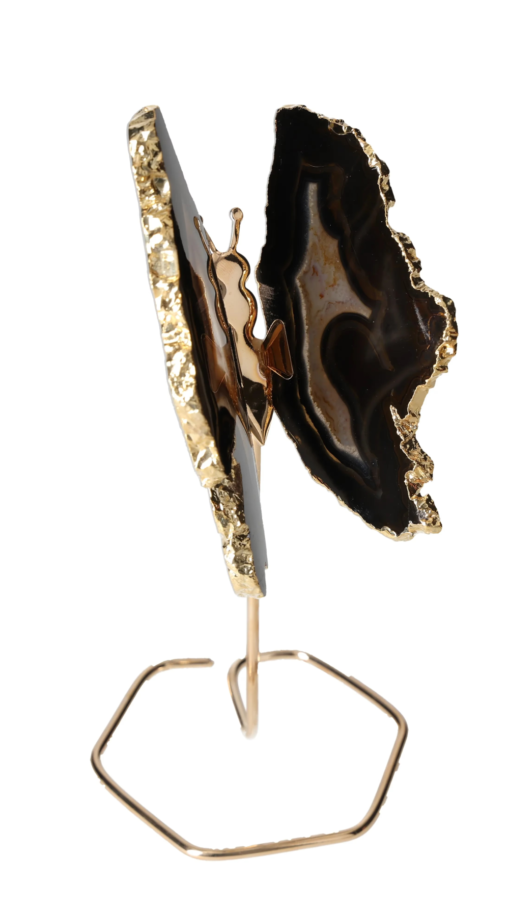 orbitvu|type:image2d