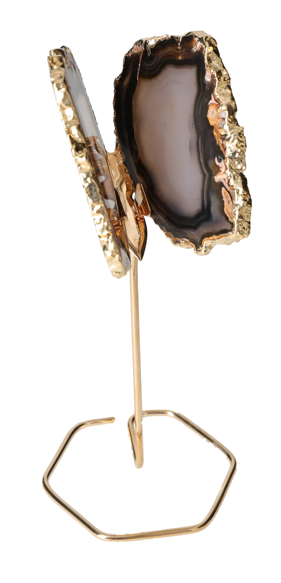 orbitvu|type:image2d