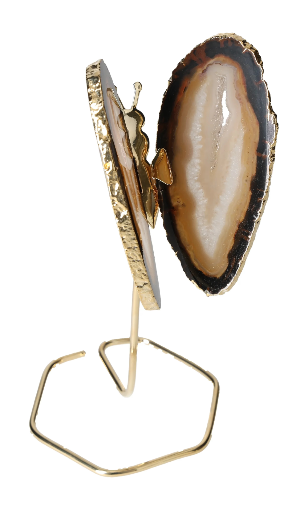 orbitvu|type:image2d