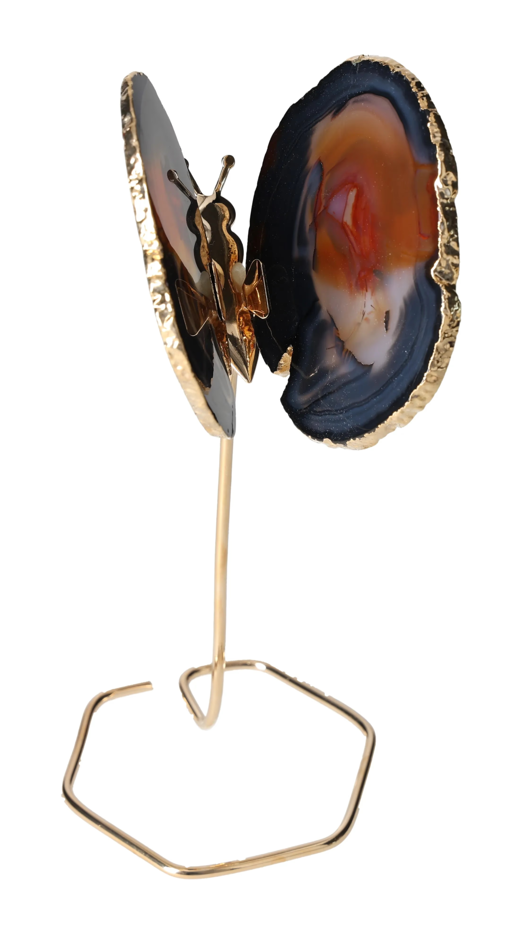 orbitvu|type:image2d