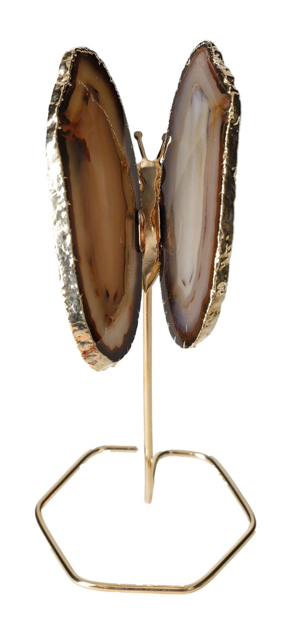 orbitvu|type:image2d