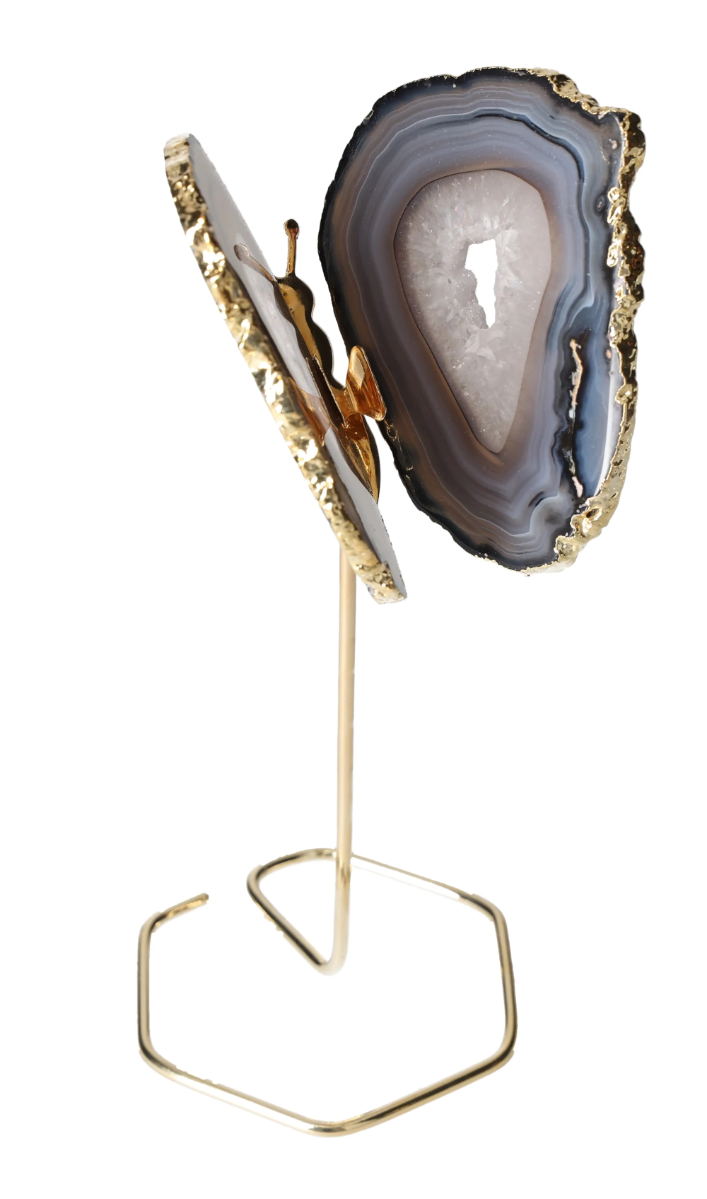 orbitvu|type:image2d