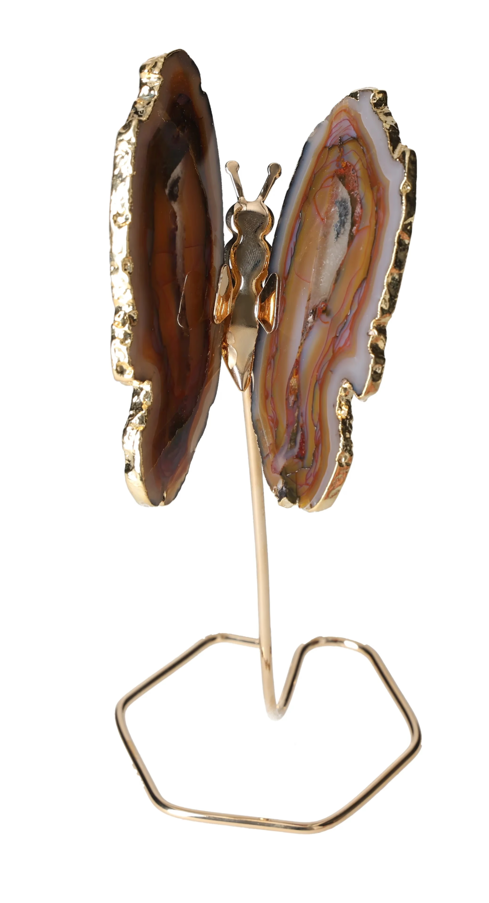 orbitvu|type:image2d