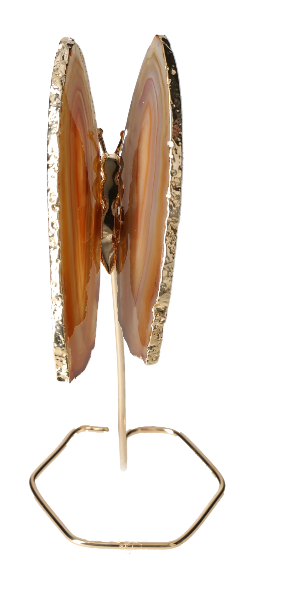 orbitvu|type:image2d