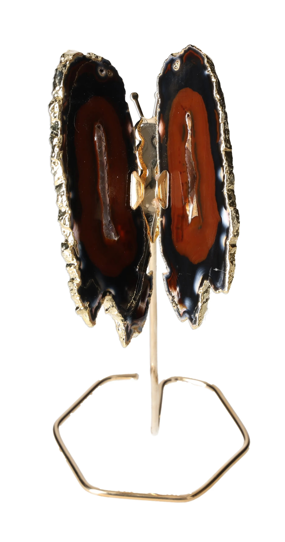 orbitvu|type:image2d