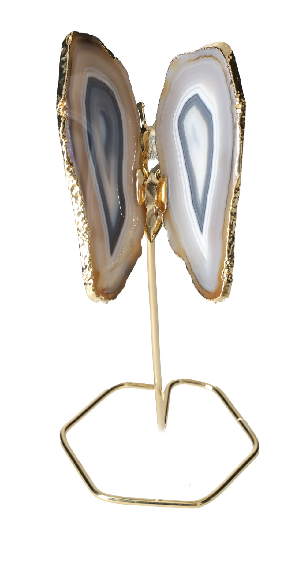 orbitvu|type:image2d