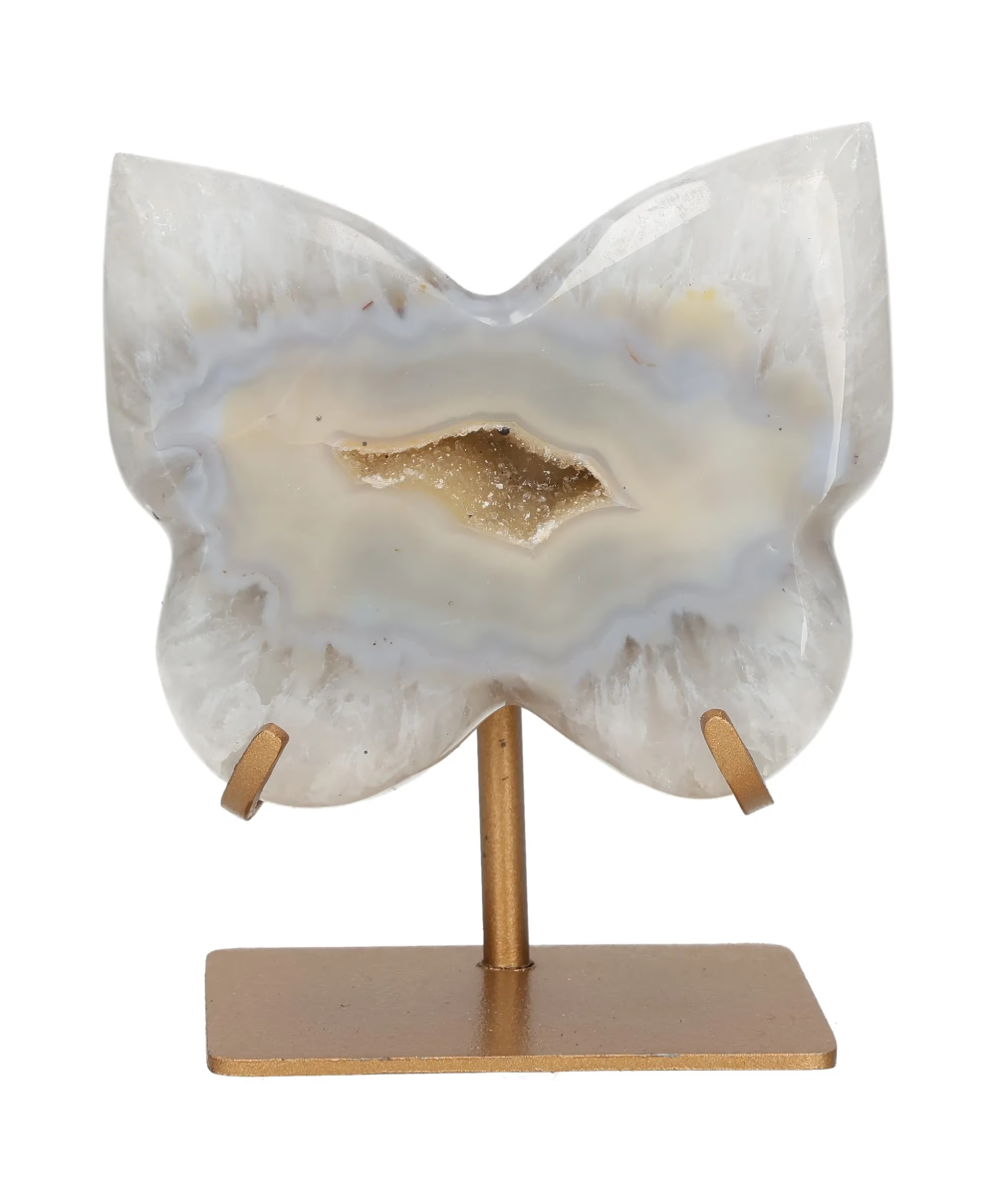 orbitvu|type:image2d