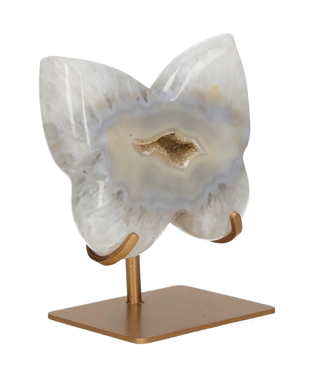 orbitvu|type:image2d